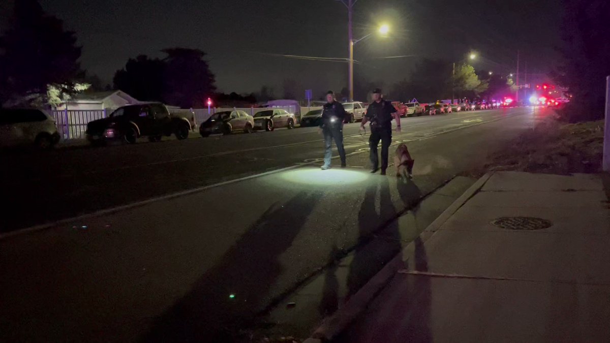 several teams of K9 officers searching the area to the north of the crash