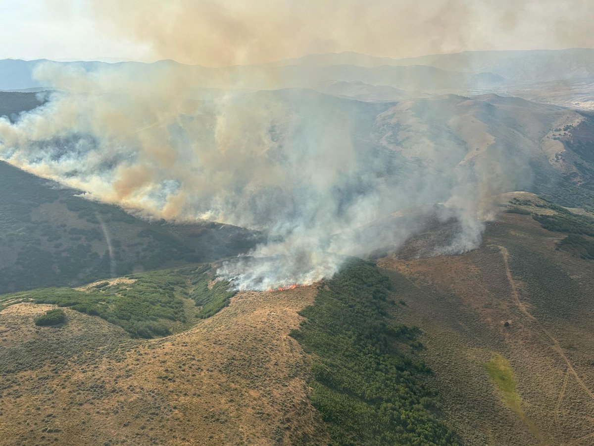 DikkerHillFire is currently estimated to have spread to over 50  acres. Firefighters are working to protect a powerline within the area