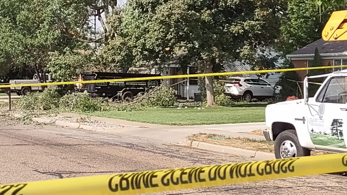 Small plane crashes in Roy neighborhood after inflight emergency   